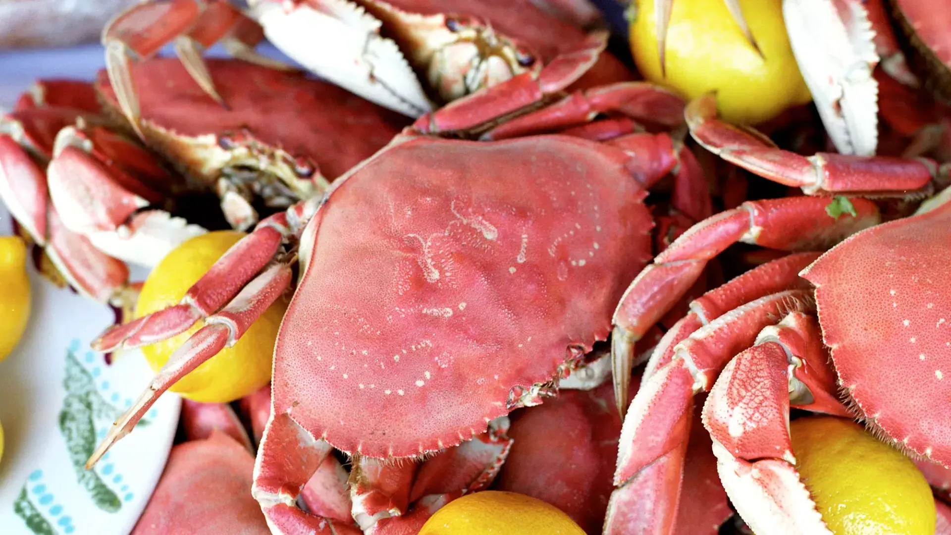 Close-up shot of a pile of cooked crabs with lemon slices on a platter.