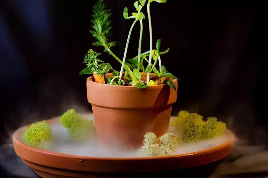 一个创造性的菜看起来像一个花盆在坎普顿广场餐厅在贝博体彩app。.