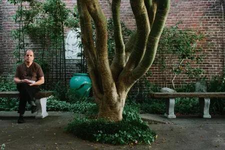 丹尼斯·麦克纳利坐在一棵树