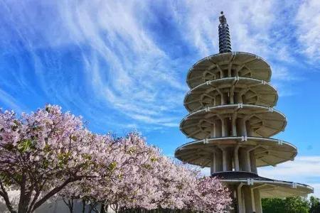 日本城的和平之塔