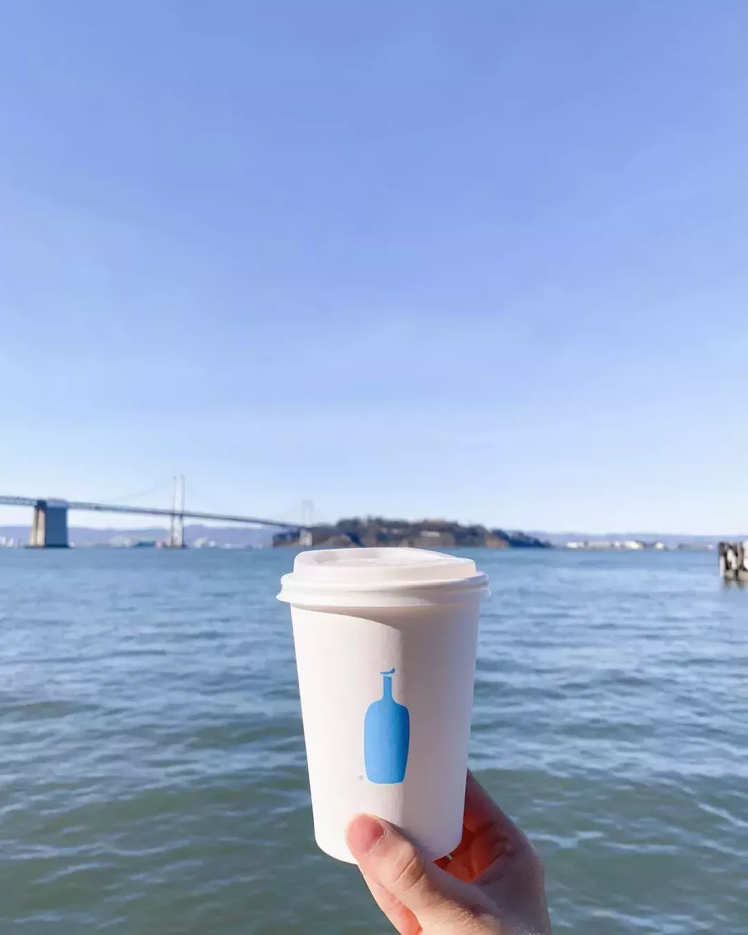 Hand holding blue bottle coffee cup by view of the bay