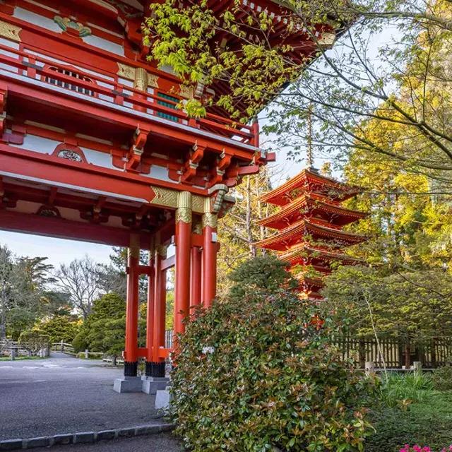 Japanischer Teegarten-Tempel